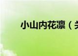 小山内花凛（关于小山内花凛介绍）