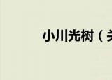 小川光树（关于小川光树介绍）