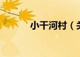 小干河村（关于小干河村介绍）