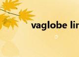 vaglobe limited（vaglobe）