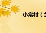 小常村（关于小常村介绍）