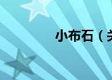 小布石（关于小布石介绍）