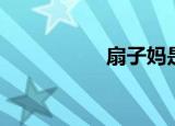 扇子妈是谁（扇子妈）