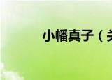 小幡真子（关于小幡真子介绍）