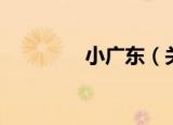 小广东（关于小广东介绍）
