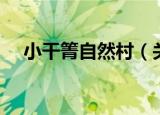 小干箐自然村（关于小干箐自然村介绍）