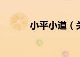 小平小道（关于小平小道介绍）