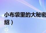 小布袋里的大秘密（关于小布袋里的大秘密介绍）