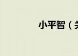 小平智（关于小平智介绍）