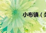 小布镇（关于小布镇介绍）