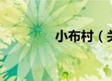 小布村（关于小布村介绍）