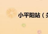 小平阳站（关于小平阳站介绍）