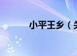 小平王乡（关于小平王乡介绍）