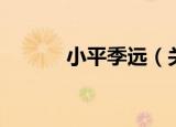 小平季远（关于小平季远介绍）
