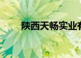 陕西天畅实业有限公司（陕西天畅）