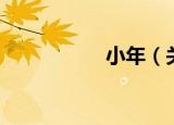 小年（关于小年介绍）