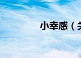 小幸感（关于小幸感介绍）