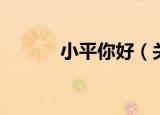 小平你好（关于小平你好介绍）