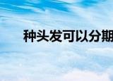 种头发可以分期吗（植发可以分期吗）