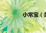 小常宝（关于小常宝介绍）