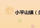 小平山镇（关于小平山镇介绍）