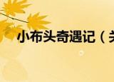 小布头奇遇记（关于小布头奇遇记介绍）
