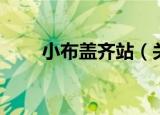 小布盖齐站（关于小布盖齐站介绍）