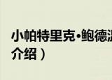 小帕特里克·鲍德温（关于小帕特里克·鲍德温介绍）