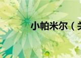 小帕米尔（关于小帕米尔介绍）