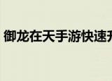 御龙在天手游快速升级（御龙在天升级快吗）