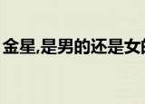 金星,是男的还是女的（金星是男的还是女的）