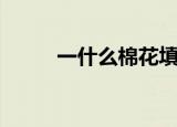 一什么棉花填叠词（一什么棉花）