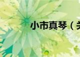 小市真琴（关于小市真琴介绍）