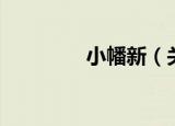 小幡新（关于小幡新介绍）