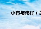 小布与伟仔（关于小布与伟仔介绍）