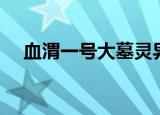 血渭一号大墓灵异事件（血渭一号大墓）