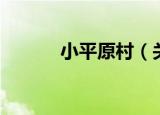 小平原村（关于小平原村介绍）