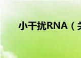 小干扰RNA（关于小干扰RNA介绍）