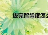 拔完智齿疼怎么办（智齿疼怎么办）
