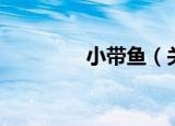 小带鱼（关于小带鱼介绍）