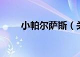 小帕尔萨斯（关于小帕尔萨斯介绍）