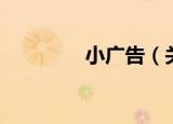 小广告（关于小广告介绍）