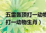 五雷轰顶打一动物生肖?最佳答案（五雷轰顶打一动物生肖）