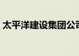 太平洋建设集团公司简介（太平洋建设集团）