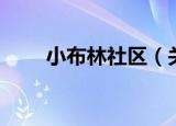小布林社区（关于小布林社区介绍）