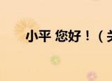 小平 您好！（关于小平 您好！介绍）