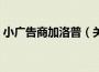小广告商加洛普（关于小广告商加洛普介绍）