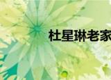 杜星琳老家哪里的（杜星琳）