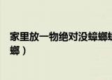 家里放一物绝对没蟑螂蟑螂怕香水吗（家里放一物绝对没蟑螂）