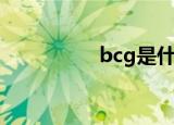 bcg是什么公司（bcg）